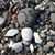 Terri Croft Richardson's profile image