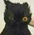 William Hadley's profile image
