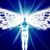 JD Angel's profile image