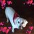 Curt Reeves's profile image