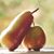 Leslie Edwards Humez's profile image