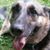 Beth Socoski's profile image