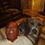 Edward Buchanan's profile image
