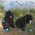 Joanne Fillmore Beyer's profile image