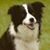 Stuart Milton's profile image