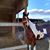 Lorena Pecina's profile image