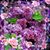 Marylou Huerta's profile image
