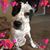 Marilyn Price's profile image