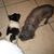 Catherine Pete's profile image