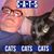 Anthony Collman's profile image