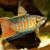 Katy Finch's profile image