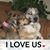 Janie Ostrander's profile image