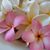 Kathleen Shepard's profile image