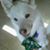 Jennifer Whitfield's profile image