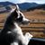 Gena Angove's profile image
