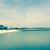 Rosa LovestheBeach's profile image