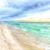 Karen Wagner Burris's profile image