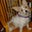 Sparky's profile image