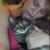 Eve Fontanella's profile image