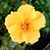 Sarah Bastron's profile image