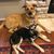 Diane Hutchins's profile image
