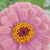 Jennifer LeNeave Owens's profile image