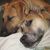 Eileen Lewis-Gentry's profile image