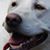 Kathy Pratko Laytos's profile image