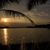 Quoc Tien's profile image