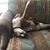 Kimberly Swanson's profile image