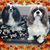 Ric B Burnam's profile image