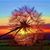 Maxine Clift's profile image