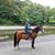 Joy Keco's profile image