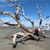 Cindy Ellis's profile image