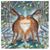 Julie Bubeer's profile image