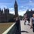 Allyson Lebak's profile image