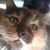 Connie Cissel's profile image