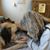Tina Vaughan's profile image