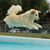 Jeanie Durkin's profile image