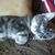 Mary Grieser's profile image