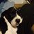 Lisa Ann Hansens's profile image