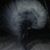 Maggie Becker's profile image