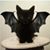 Elizabeth Morgan-Smith's profile image