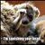 Tammy L Barton's profile image
