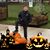 Liz Whittle's profile image
