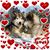 Tina Herman's profile image