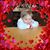 Mike Patrick's profile image