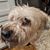 Marcella Andrea Villarreal's profile image