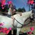 Trisha Frakes's profile image