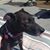 Melinda Garrity's profile image